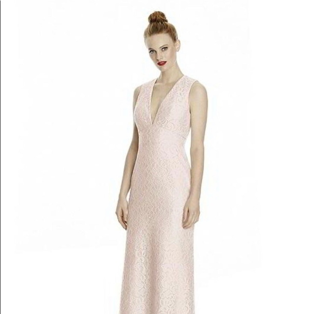 NWT LELA ROSE Gabriella Blush Lace Dress Sz: 10